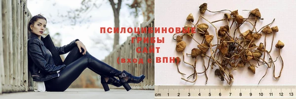 соль курить ск Горняк