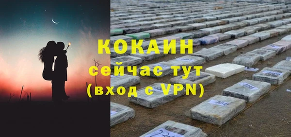 винт Гусь-Хрустальный