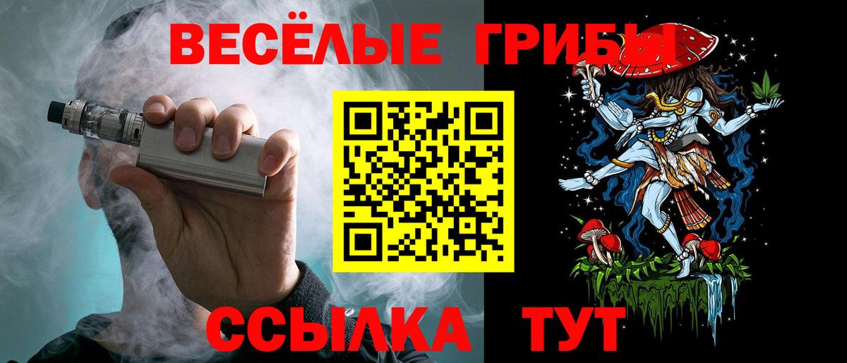 Гусь-Хрустальный  Галлюциногенные грибы прущие грибы  Вход с VPN  Галлюциногенные грибы мухоморы 